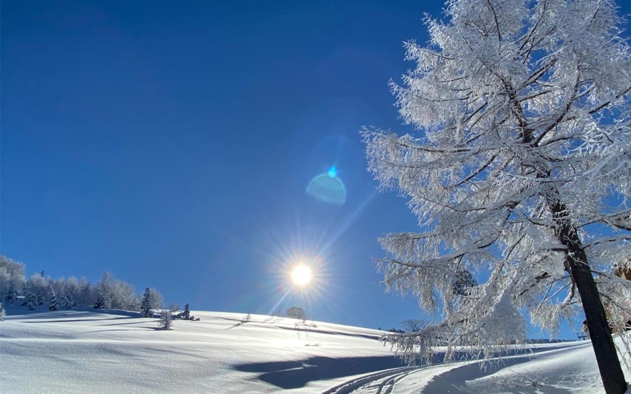 Address Nozawa Daire Dış mekan fotoğraf
